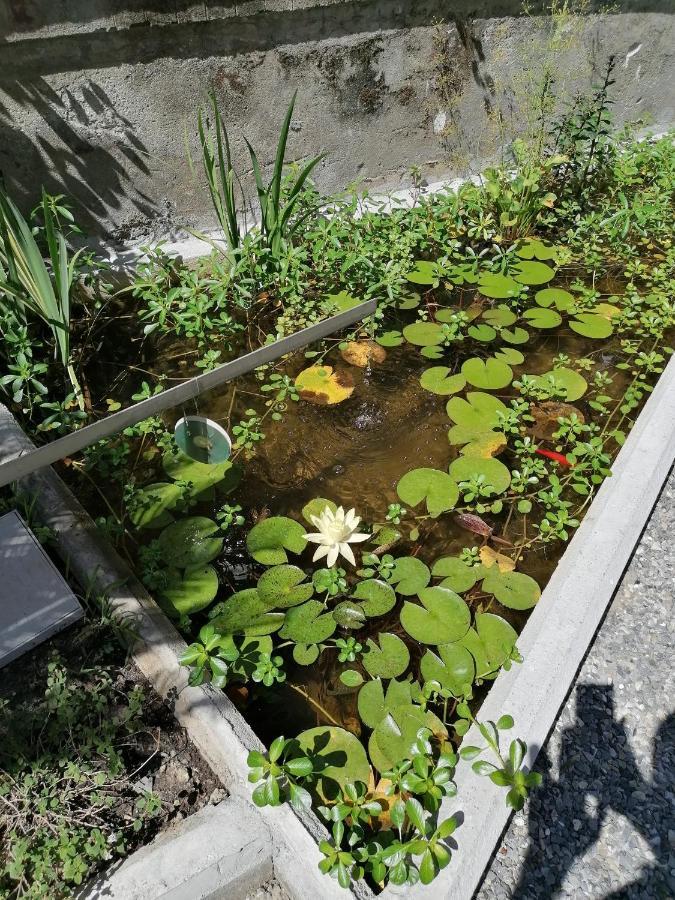 Апарт готель Il Giardino Di Elettra - Freeparking Генуя Екстер'єр фото